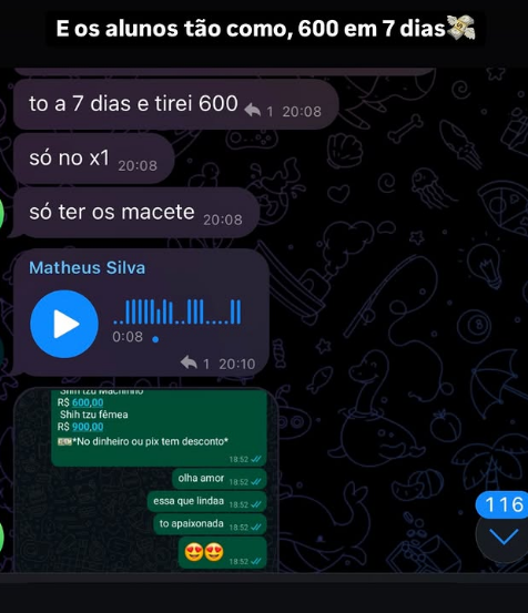 Captura de tela 2025-02-12 025050